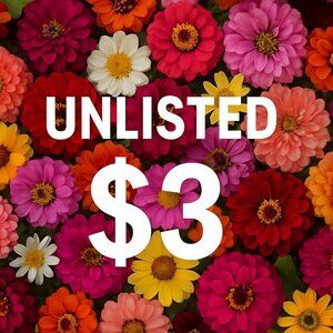 ✅ Unlisted $3 Starts 🛑 NO CANCELLATIONS ✅ ITEMS ARE AS IS ‼️